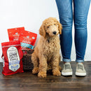 Stella & Chewy's Raw Coated Puppy Food