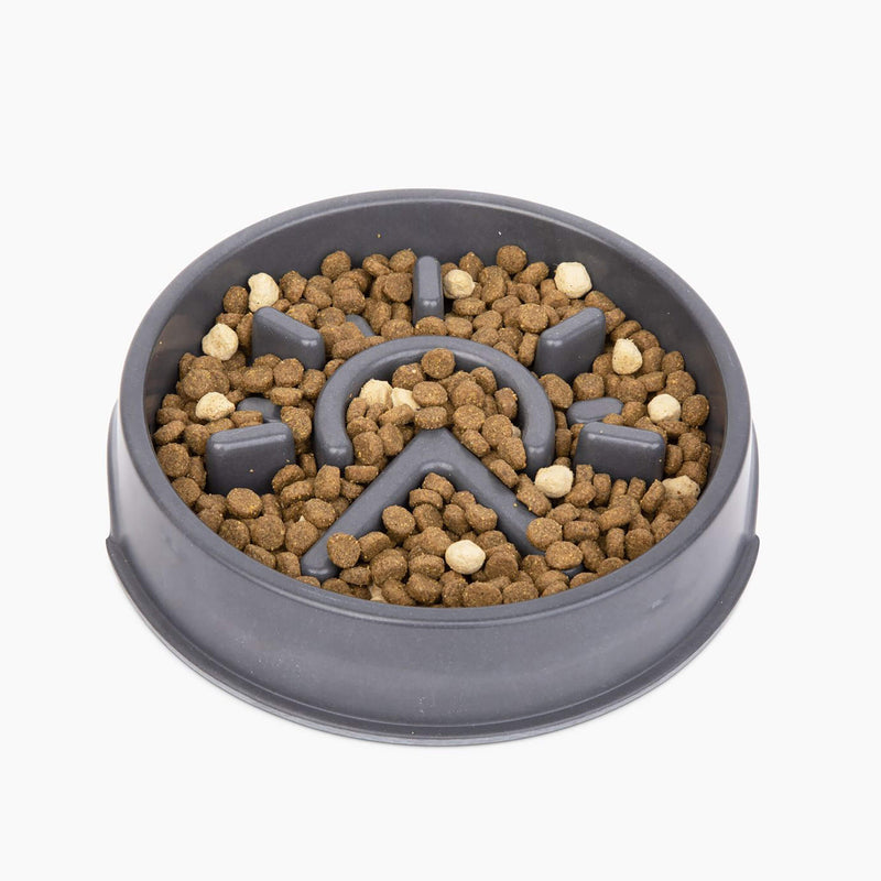 Only Natural Pet Sunup Eco-Friendly Slow-Feeder Dog Bowl