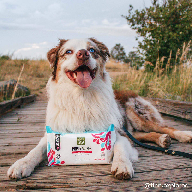 Only Natural Pet Puppy Wipes with Aloe for Sensitive Skin