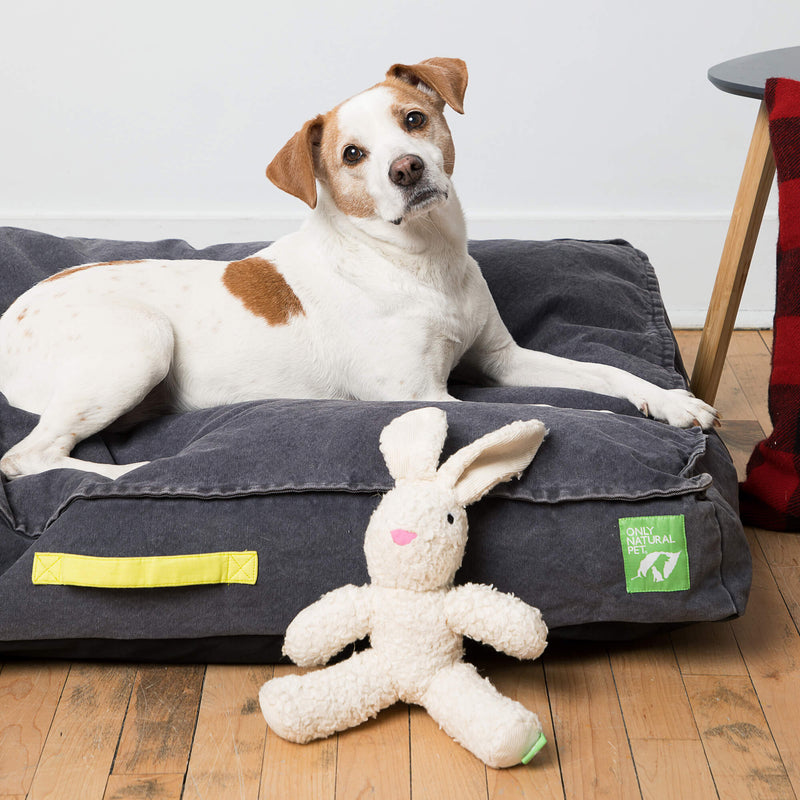 Only Natural Pet Eco-Friendly Organic Canvas Beds