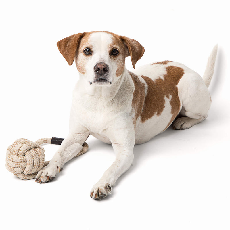 Only Natural Pet Eco-Friendly Regenerated Cotton Ball & Rope Dog Toy