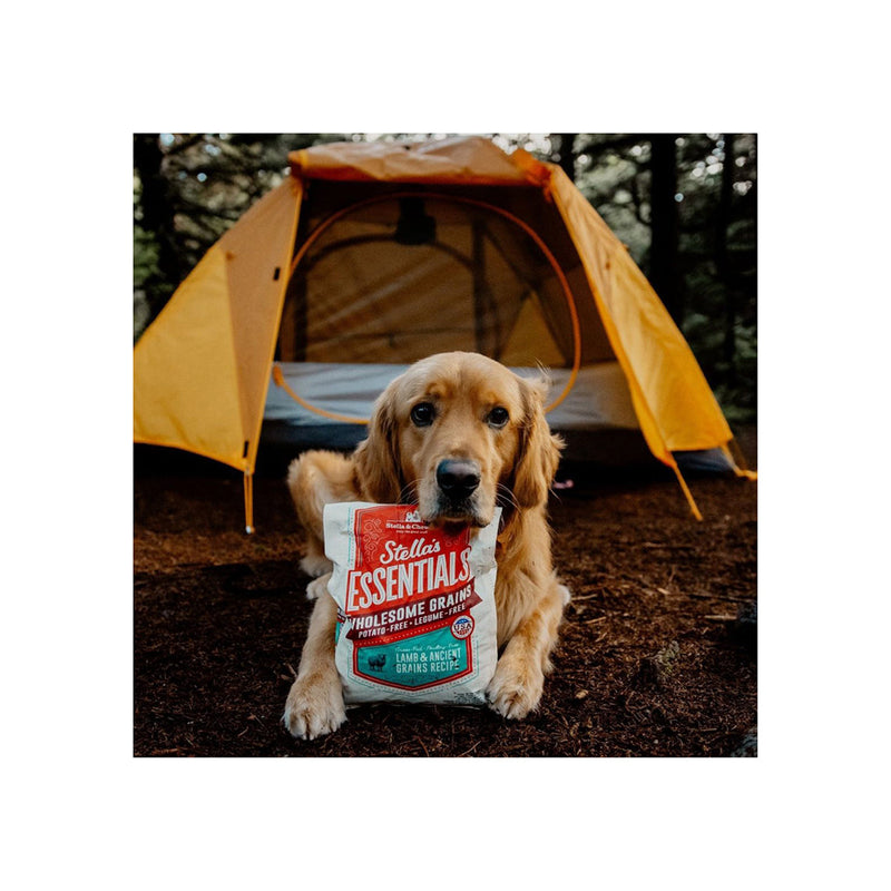 Stella & Chewy's Essentials Ancient Grain Dry Dog Food