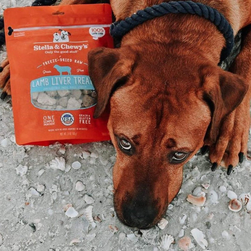 Stella & Chewy's Freeze-Dried Raw Single Ingredient Treats