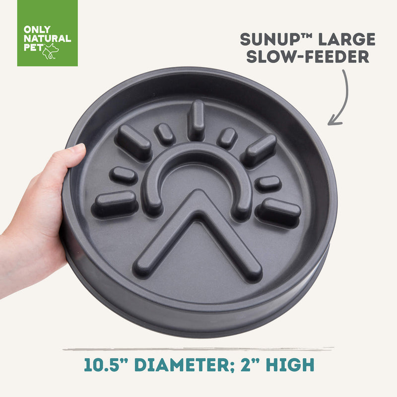 Only Natural Pet Sunup Eco-Friendly Slow-Feeder Dog Bowl